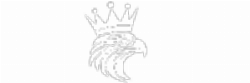 King Falcon - Camisetas e produtos personalizados