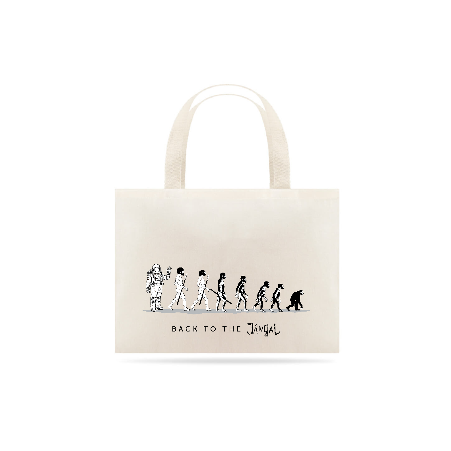 Evolução - ECOBAG