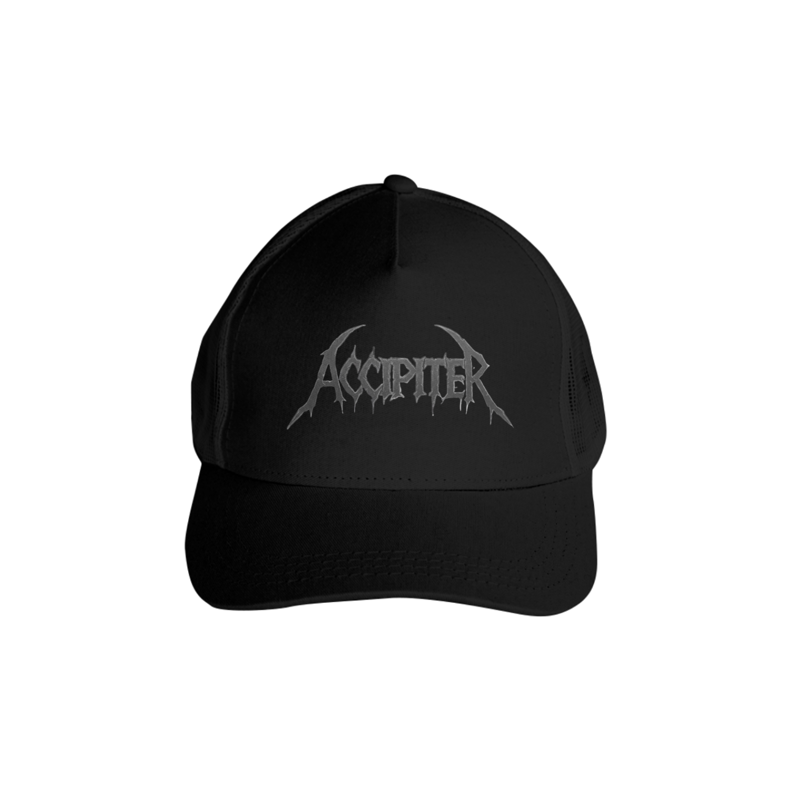Accipiter