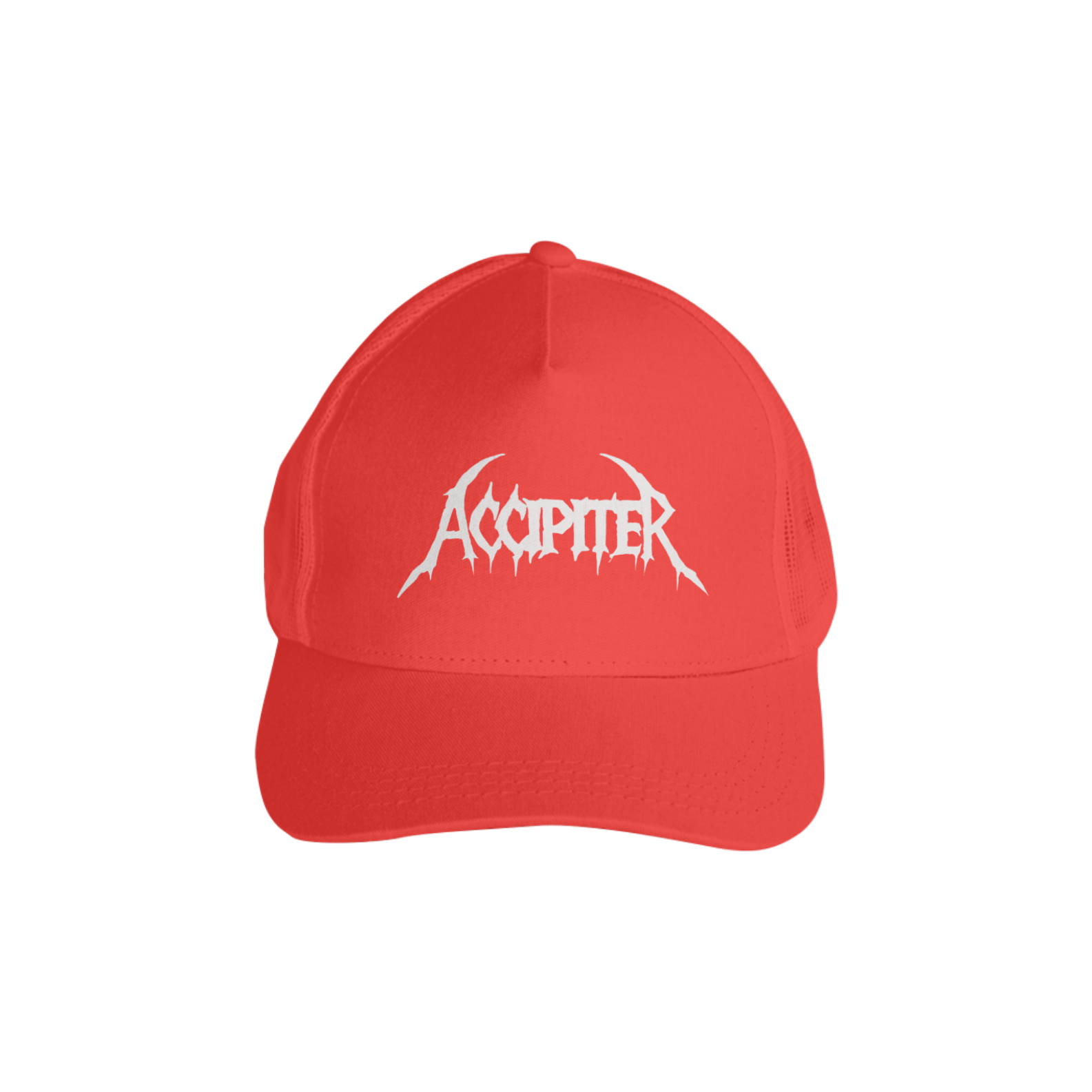 Accipiter