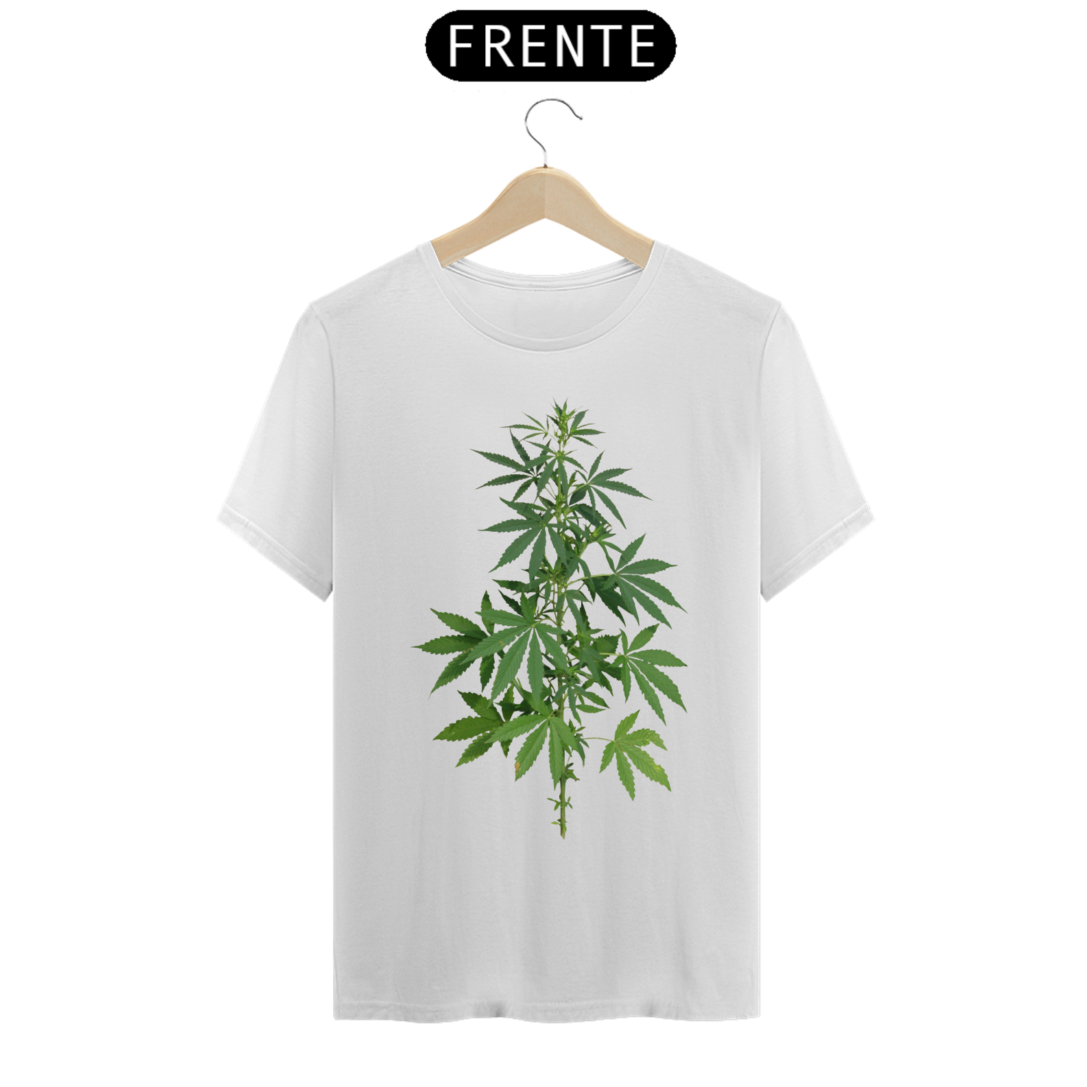Cannabis