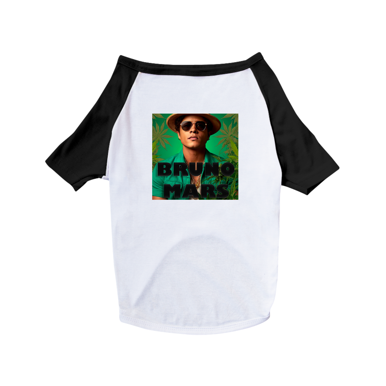 Camiseta Pet Bruno Mars