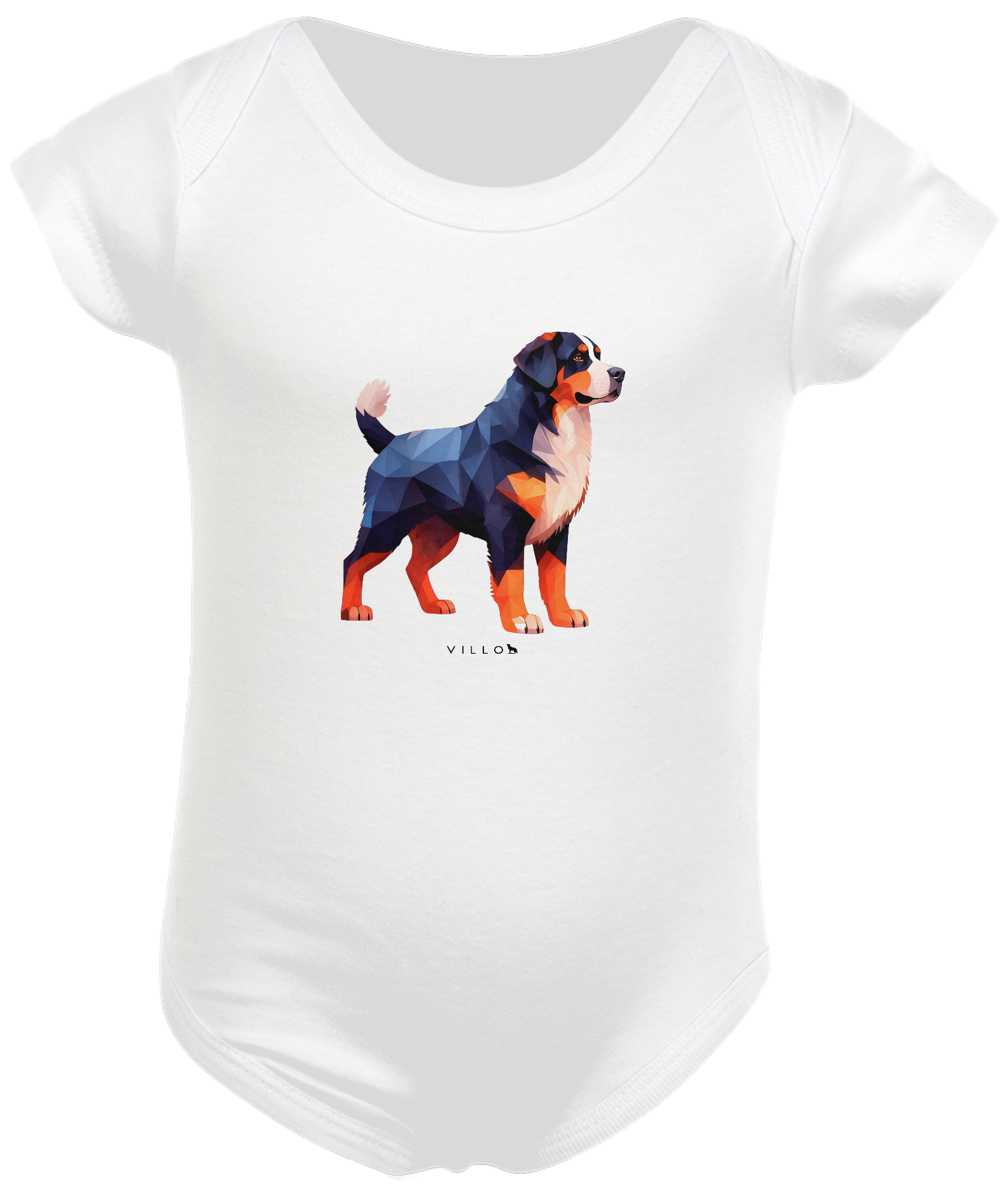 Body Confort Bernese (Boiadeiro de Berna)