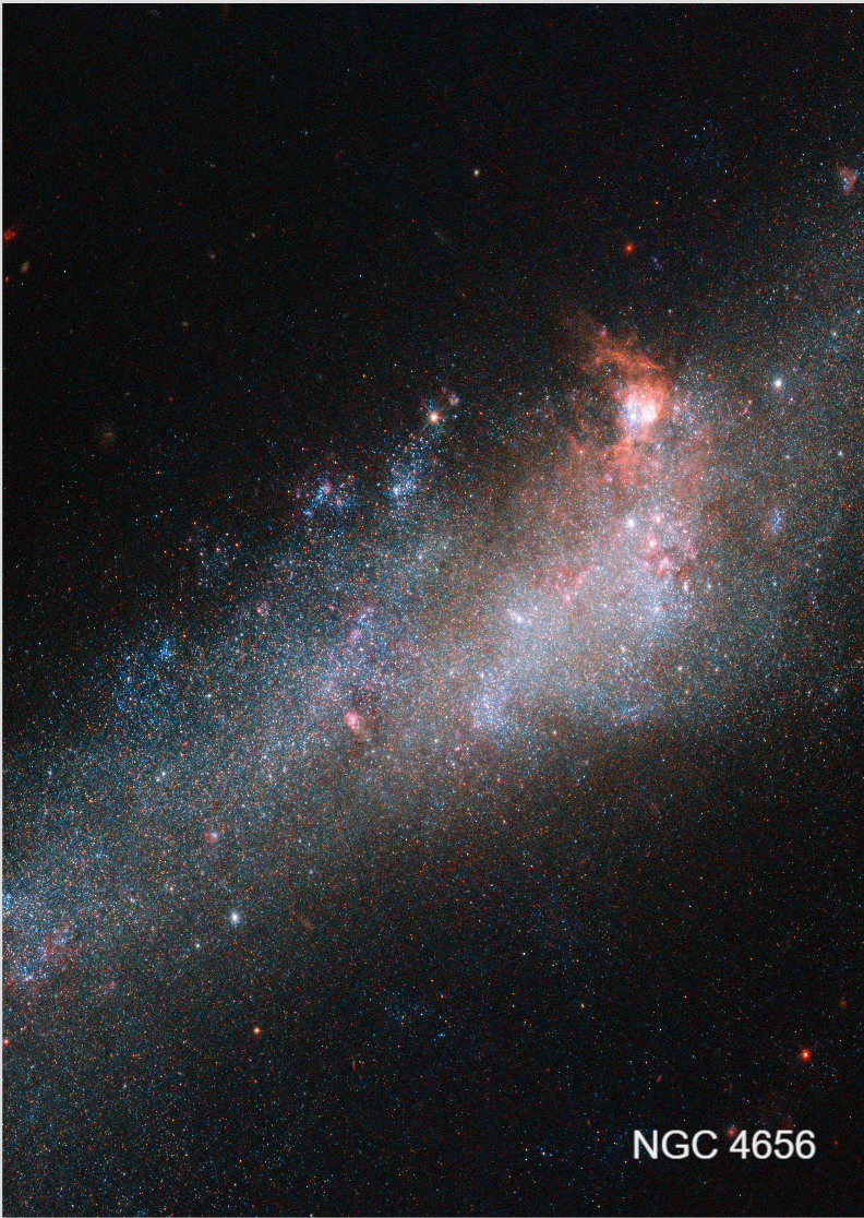 Poster Retrato - Galáxia NGC 4656