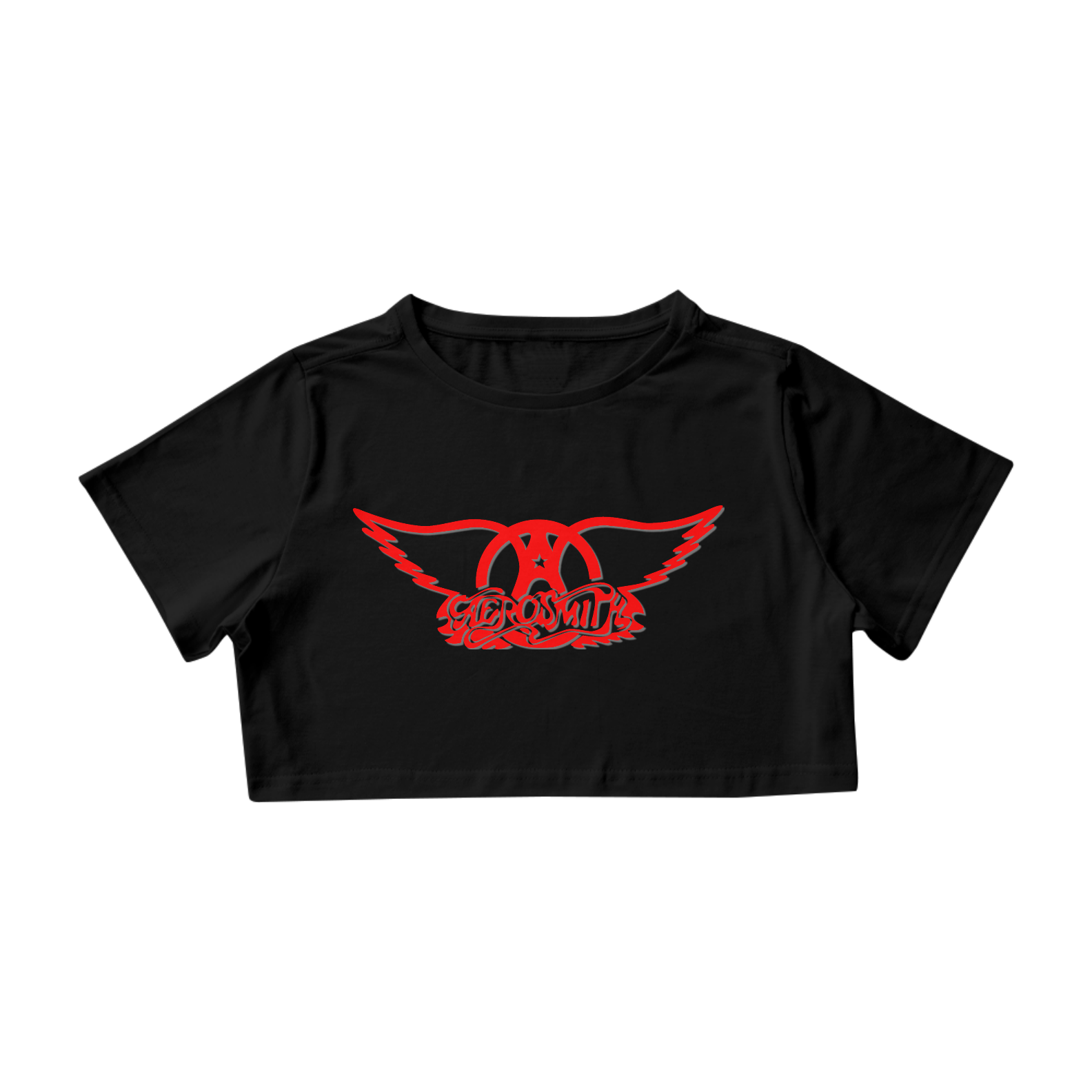 Cropped Aerosmith
