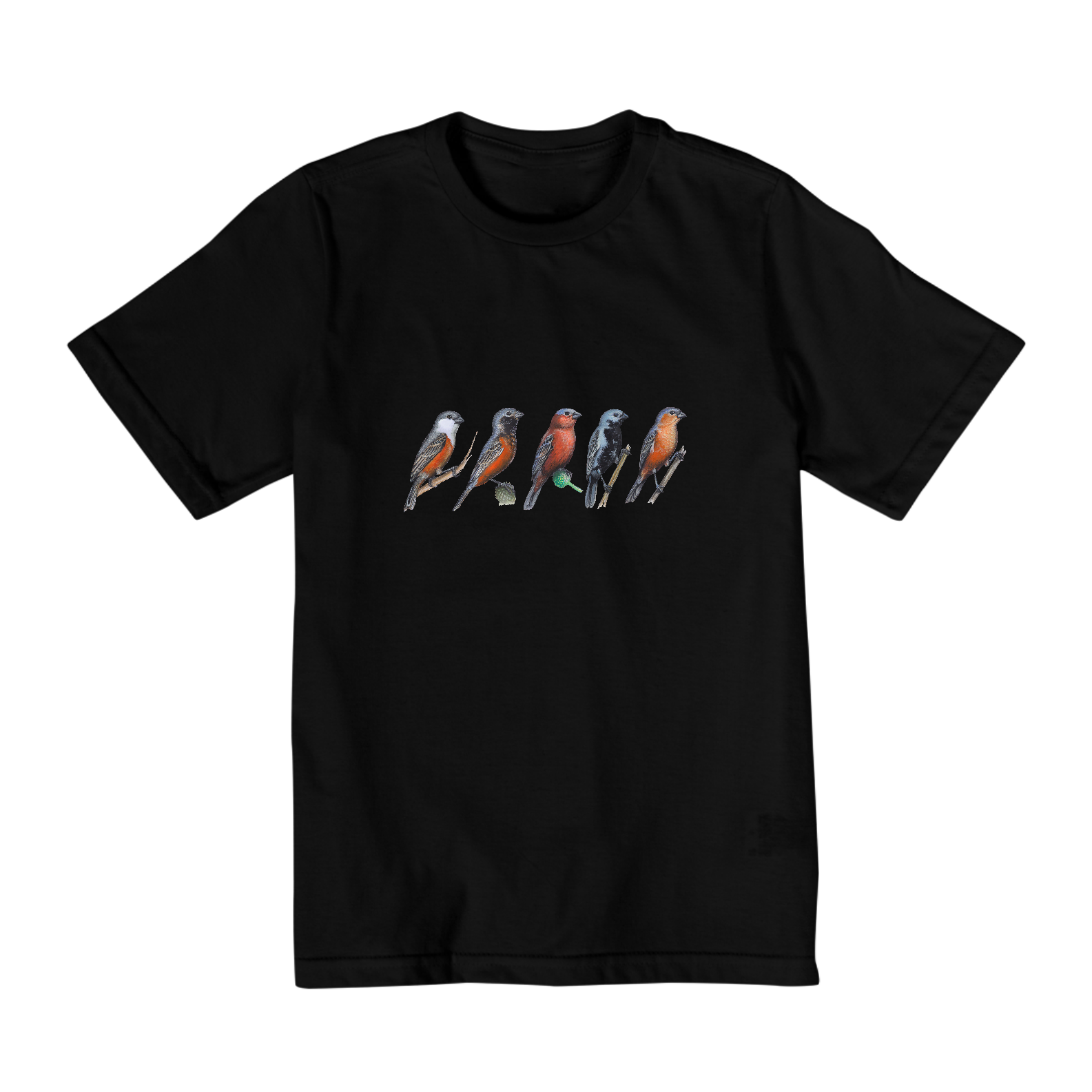Camiseta Sporophilas | Infantil 10 a 14 anos