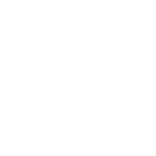 BWT