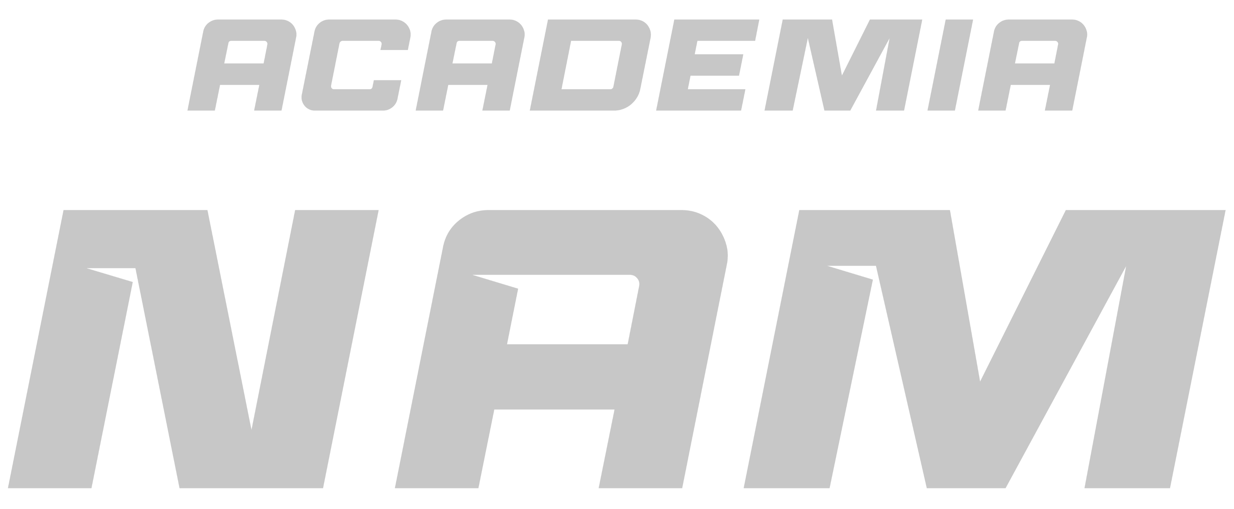 Academia NAM