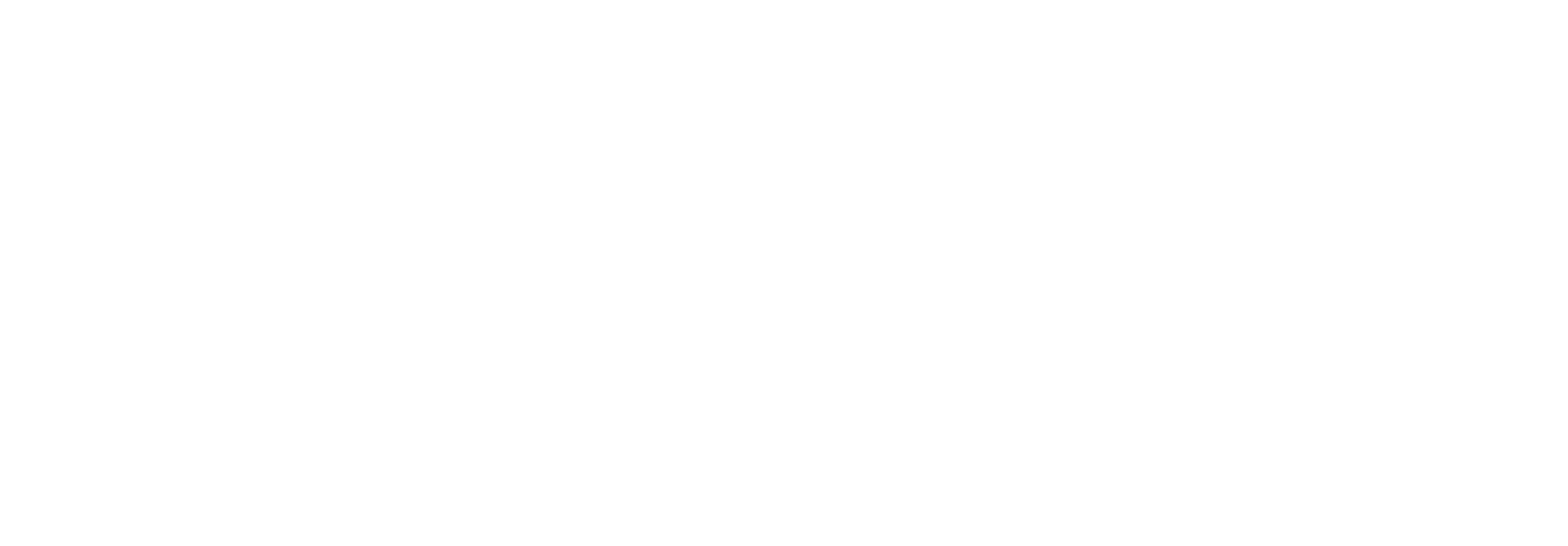 Brillitos Store