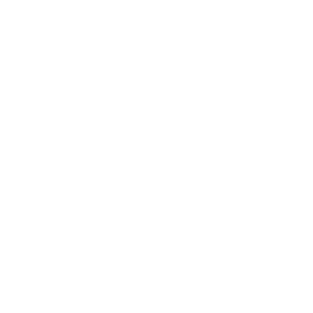 minerstORE