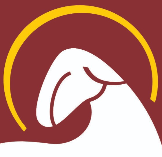 Pedrangular 411