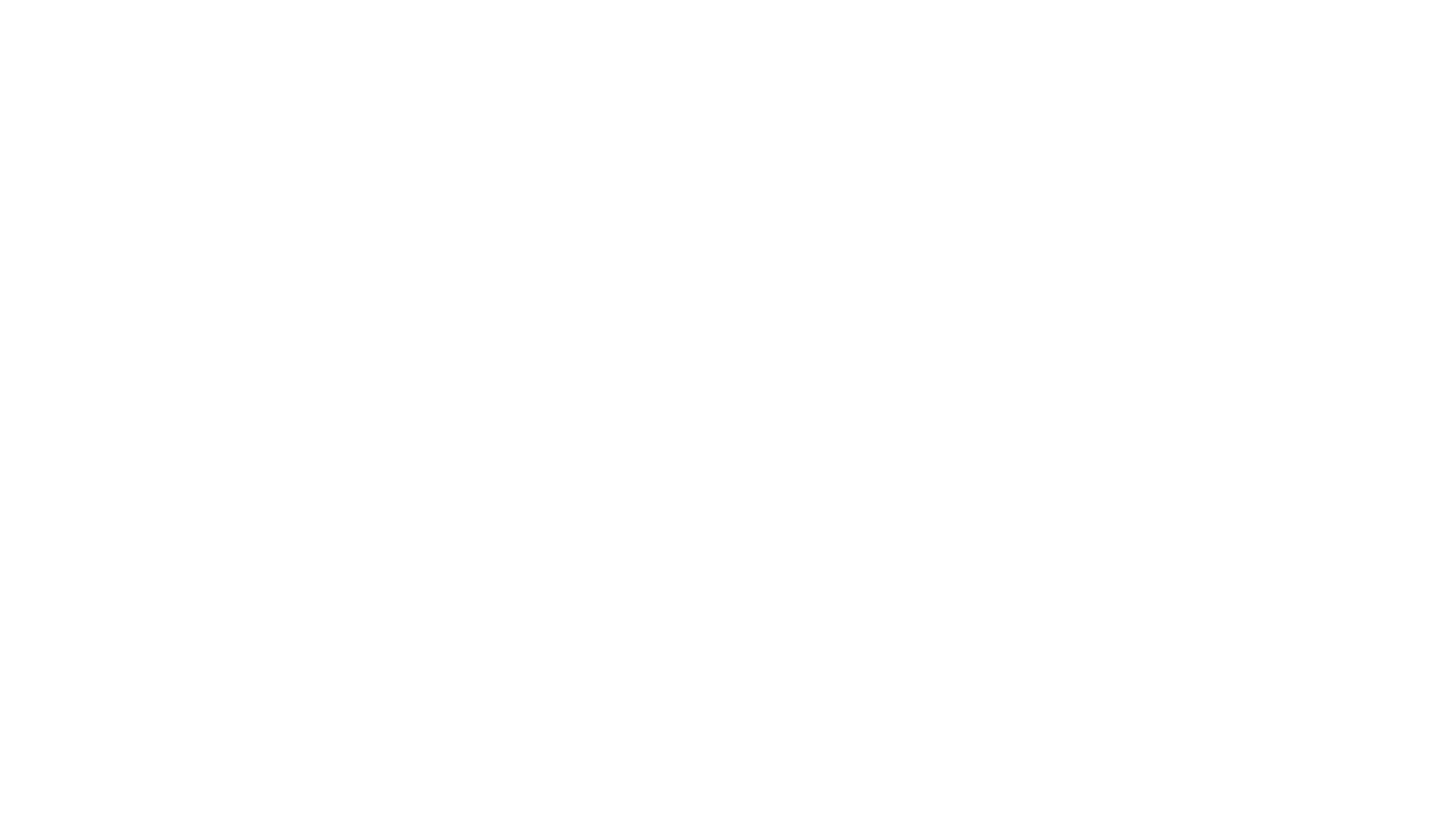 DIFLEN STORE