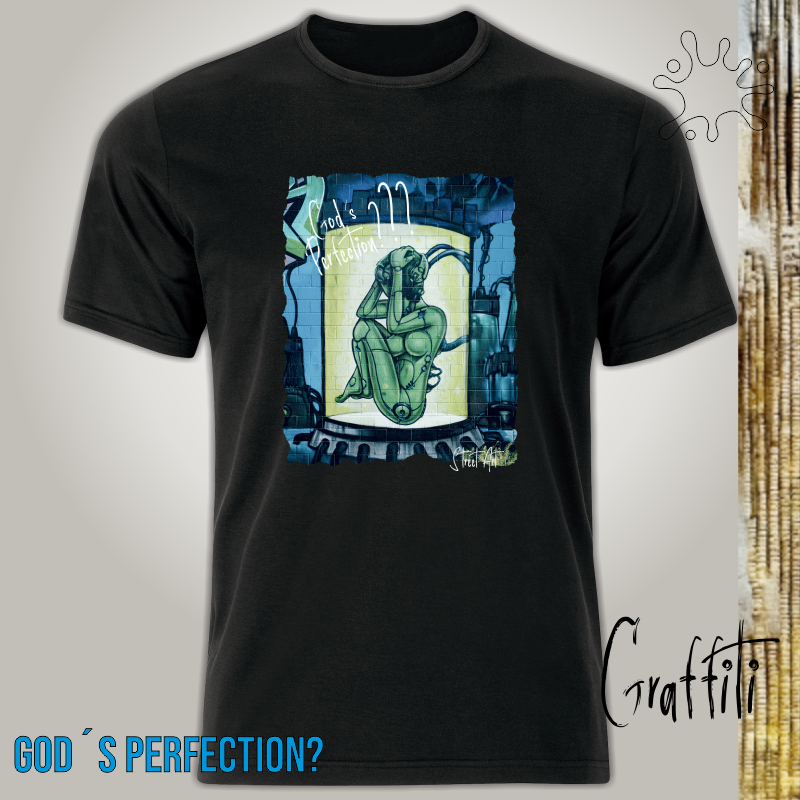Camiseta Graffiti Perfeição de Deus?