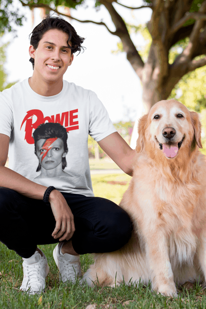David Bowie