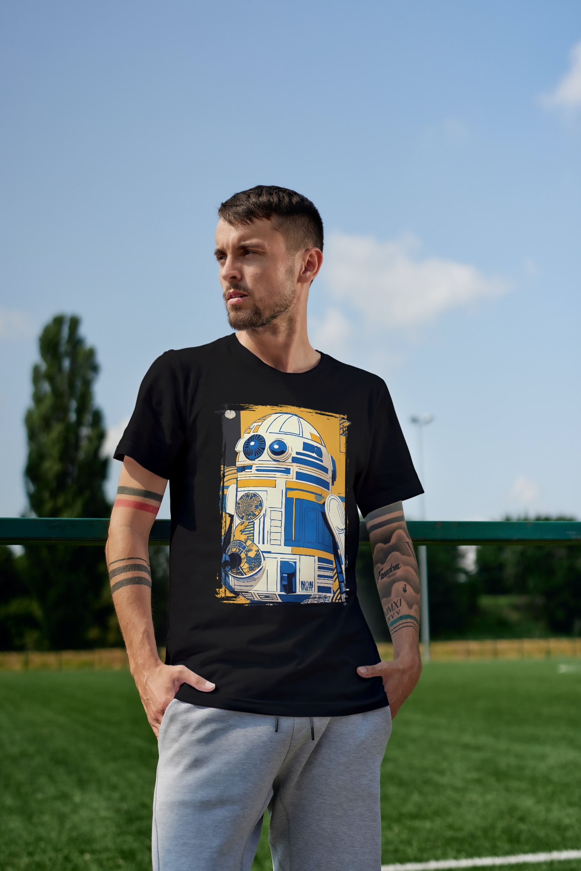 R2-D2 Colors