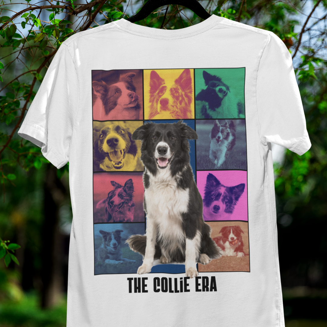 The Collie Era