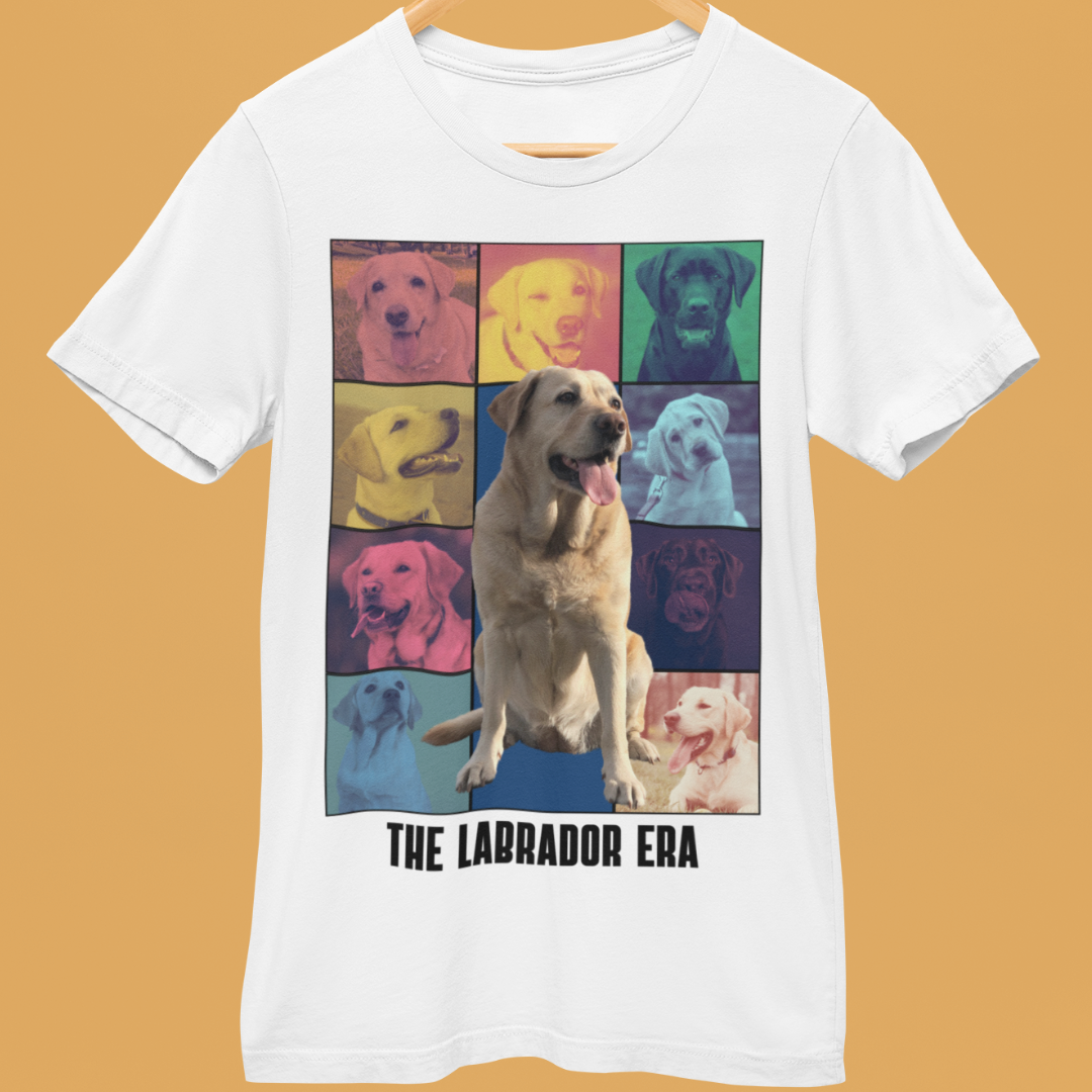 The Labrador Era