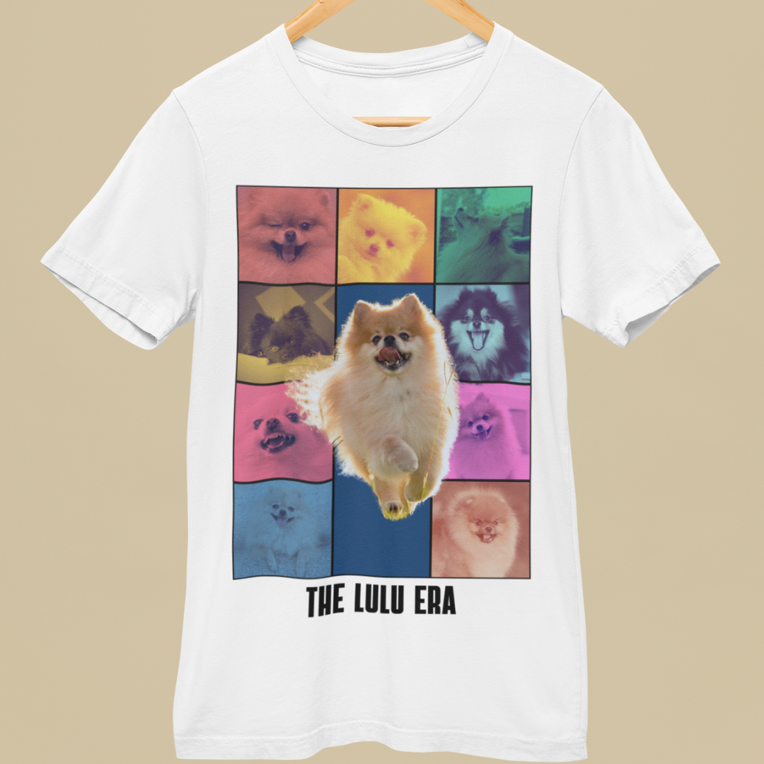 The Lulu Era