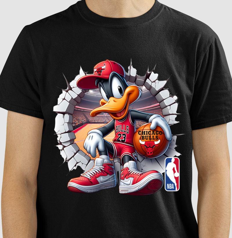 Camisetas Chicago Bulls