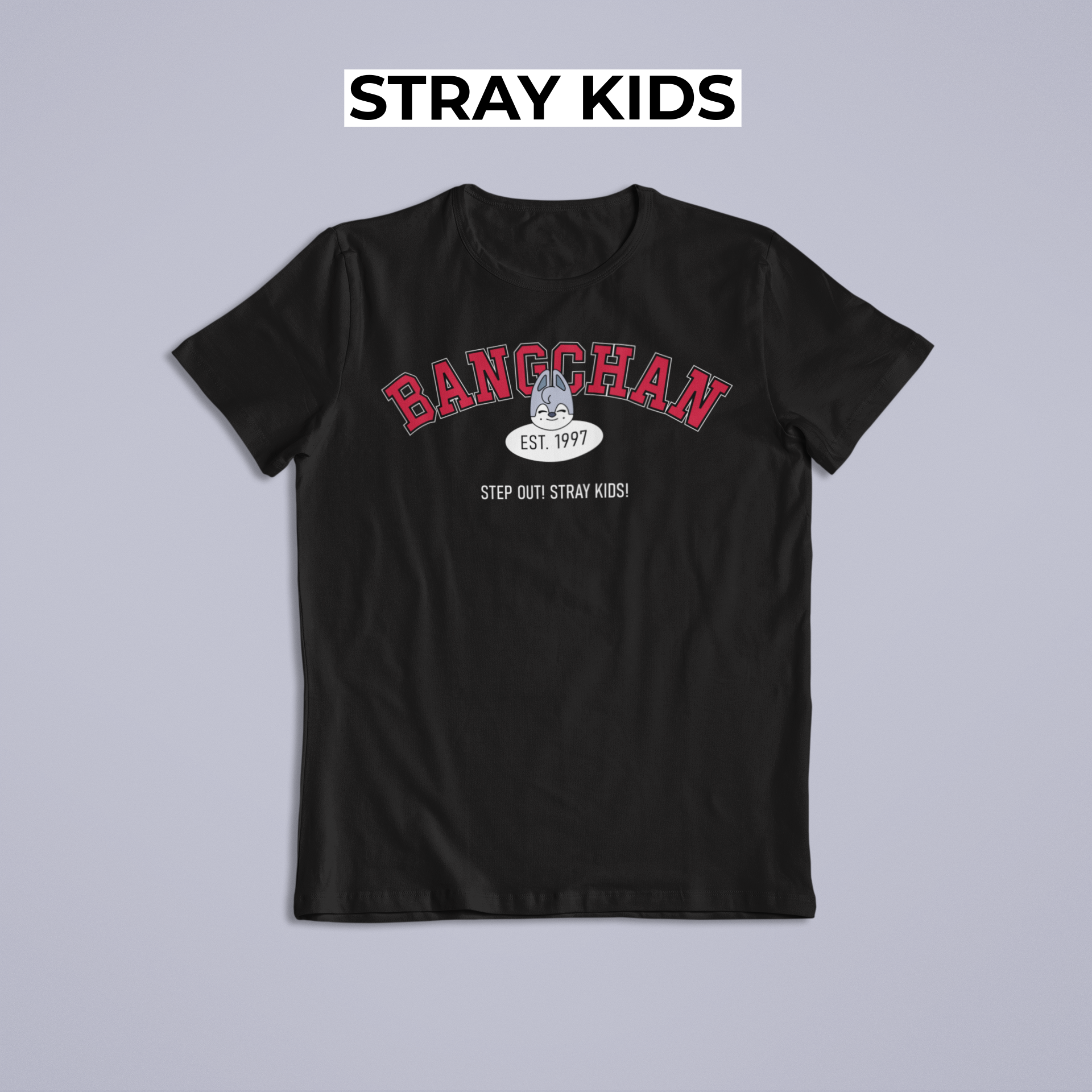 Camiseta BANGCHAN - STRAY KIDS