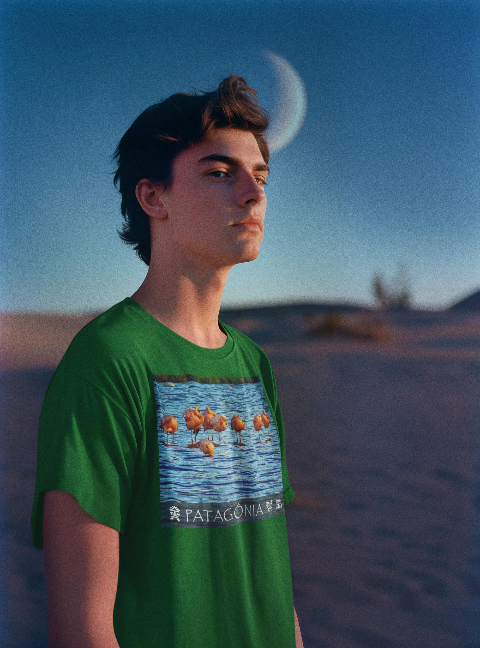 Coleção Patagônia 08<br>T-Shirt Unissex Quality