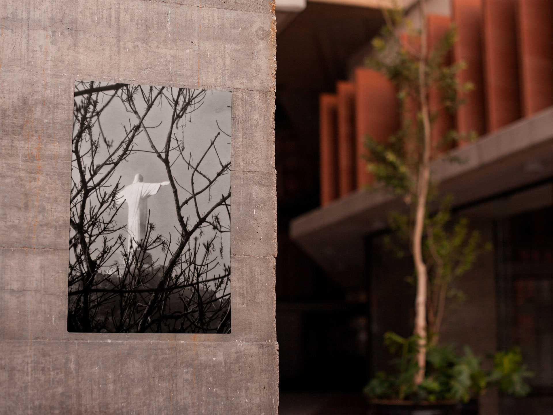 Jardim Botânico 02<br>Poster / Retrato