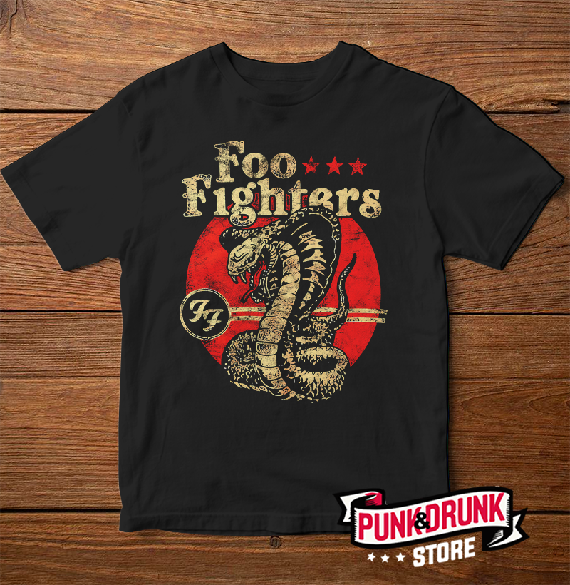 Foo Fighters - Snake