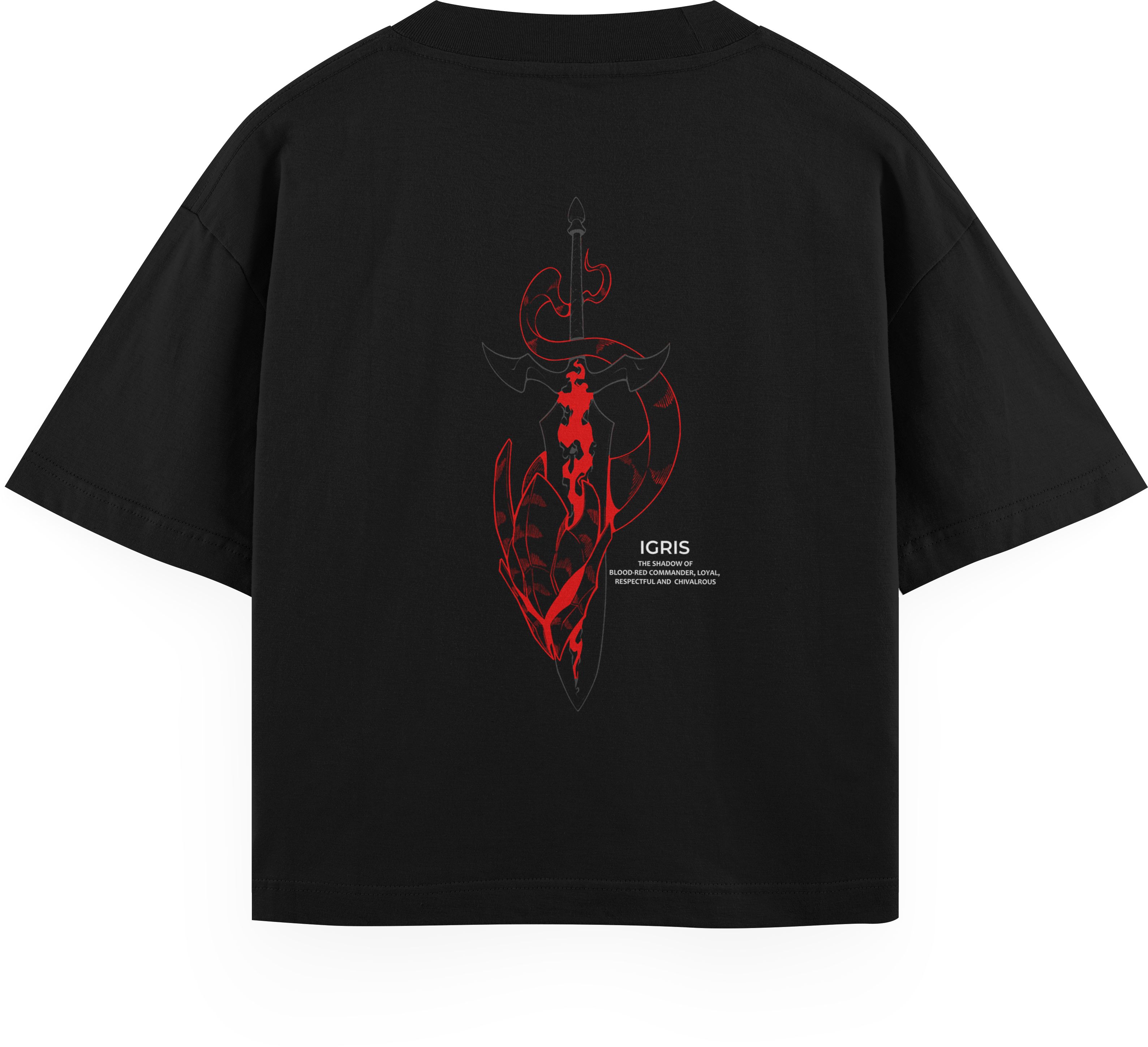 Camiseta Oversized Igris