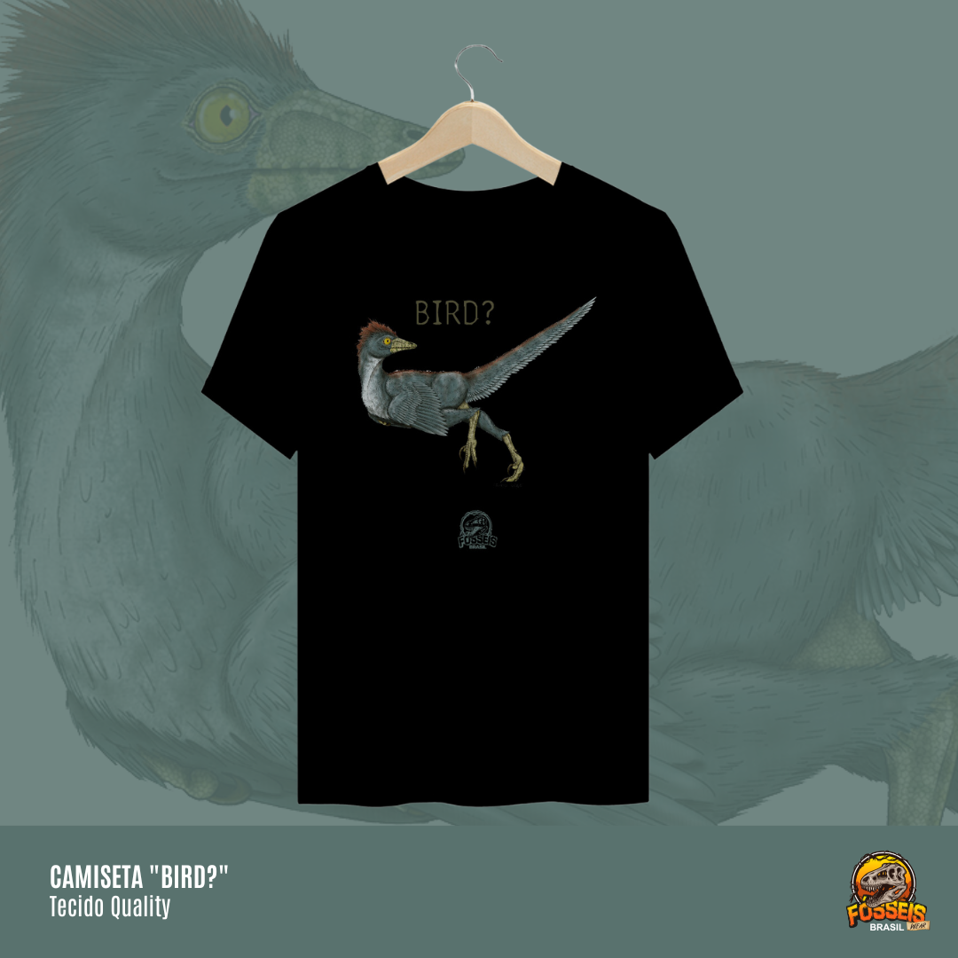 Camiseta - 