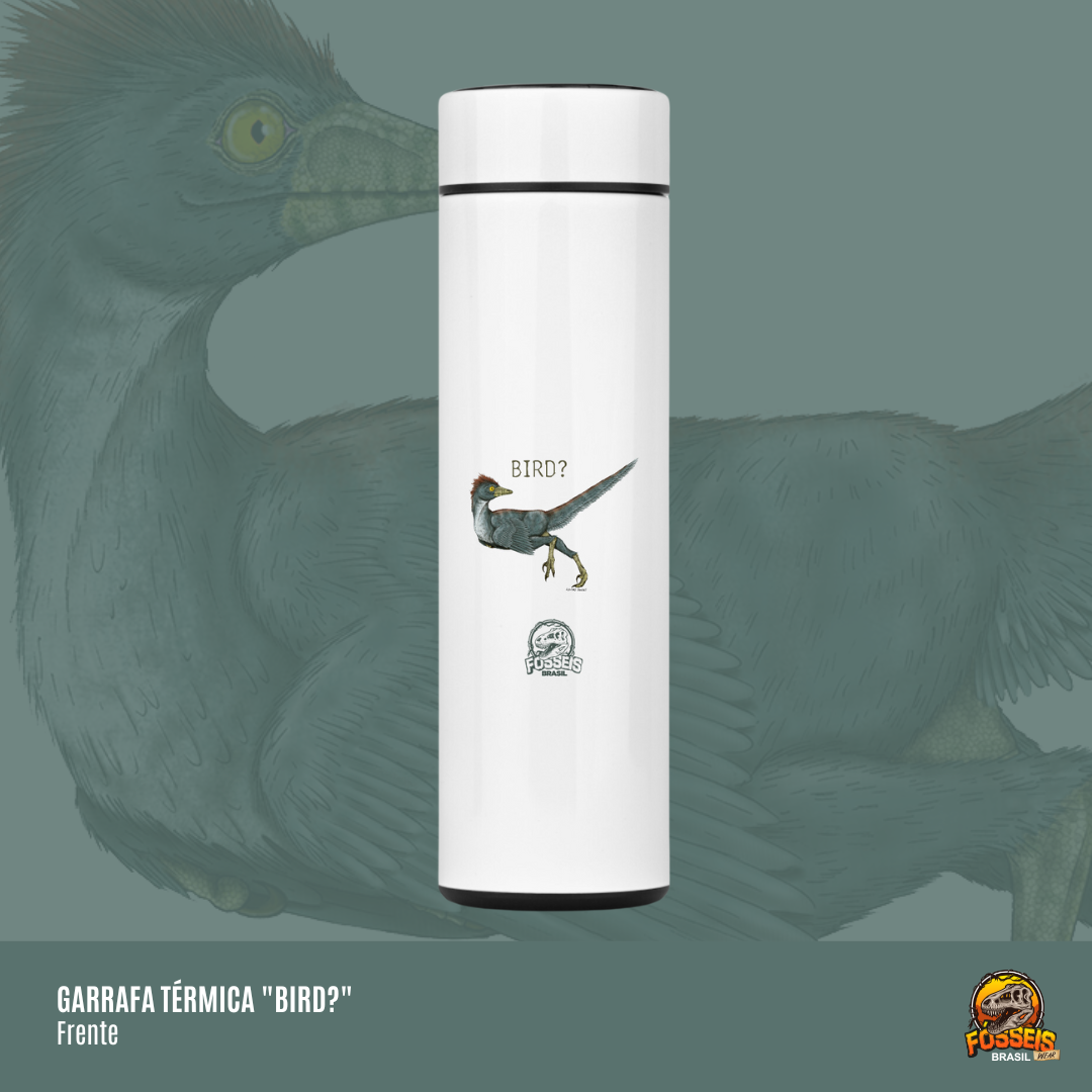 Garrafa Térmica - 