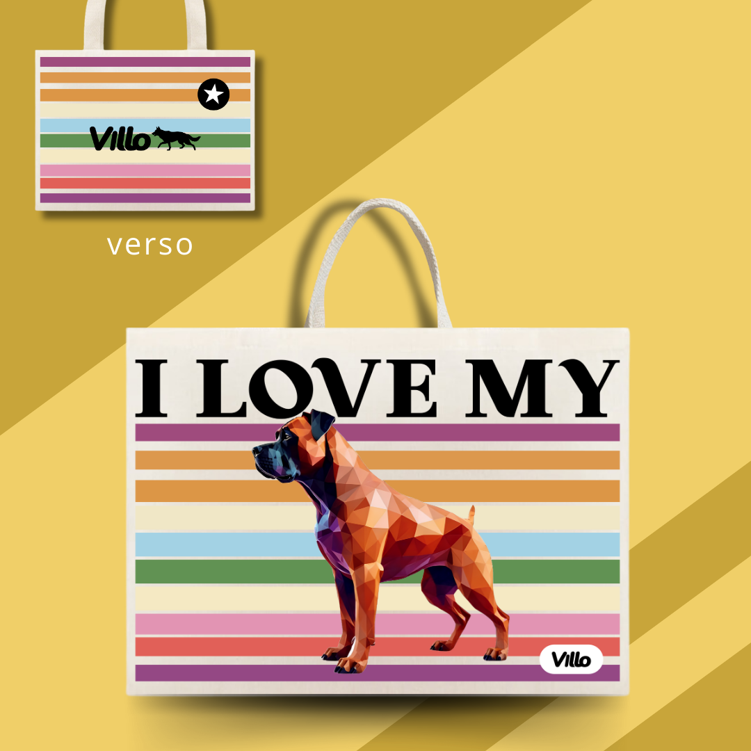 Eco Bag Boxer 
