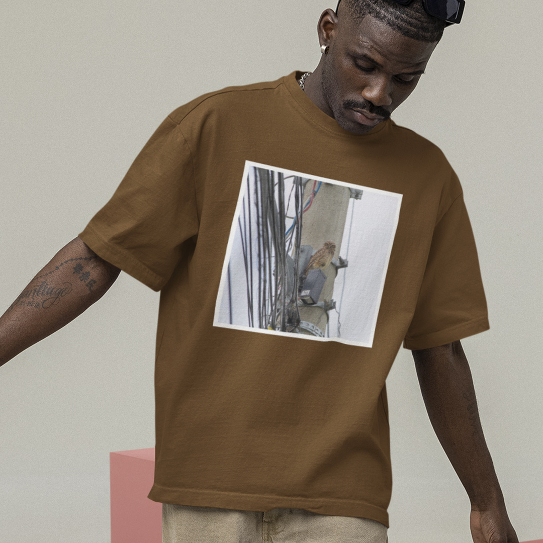Oversized: Coruja Urbana