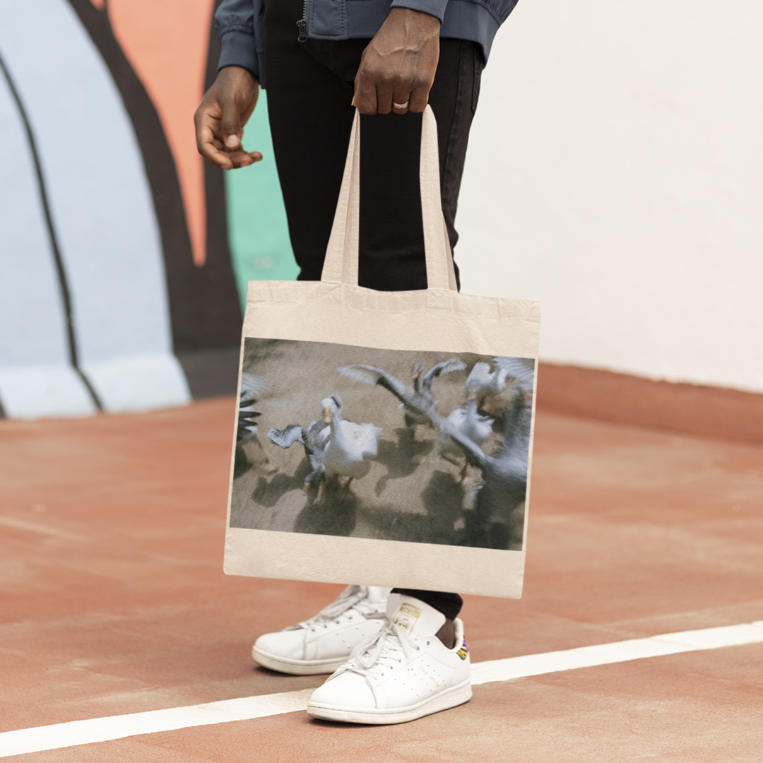 Eco Bag: Patos